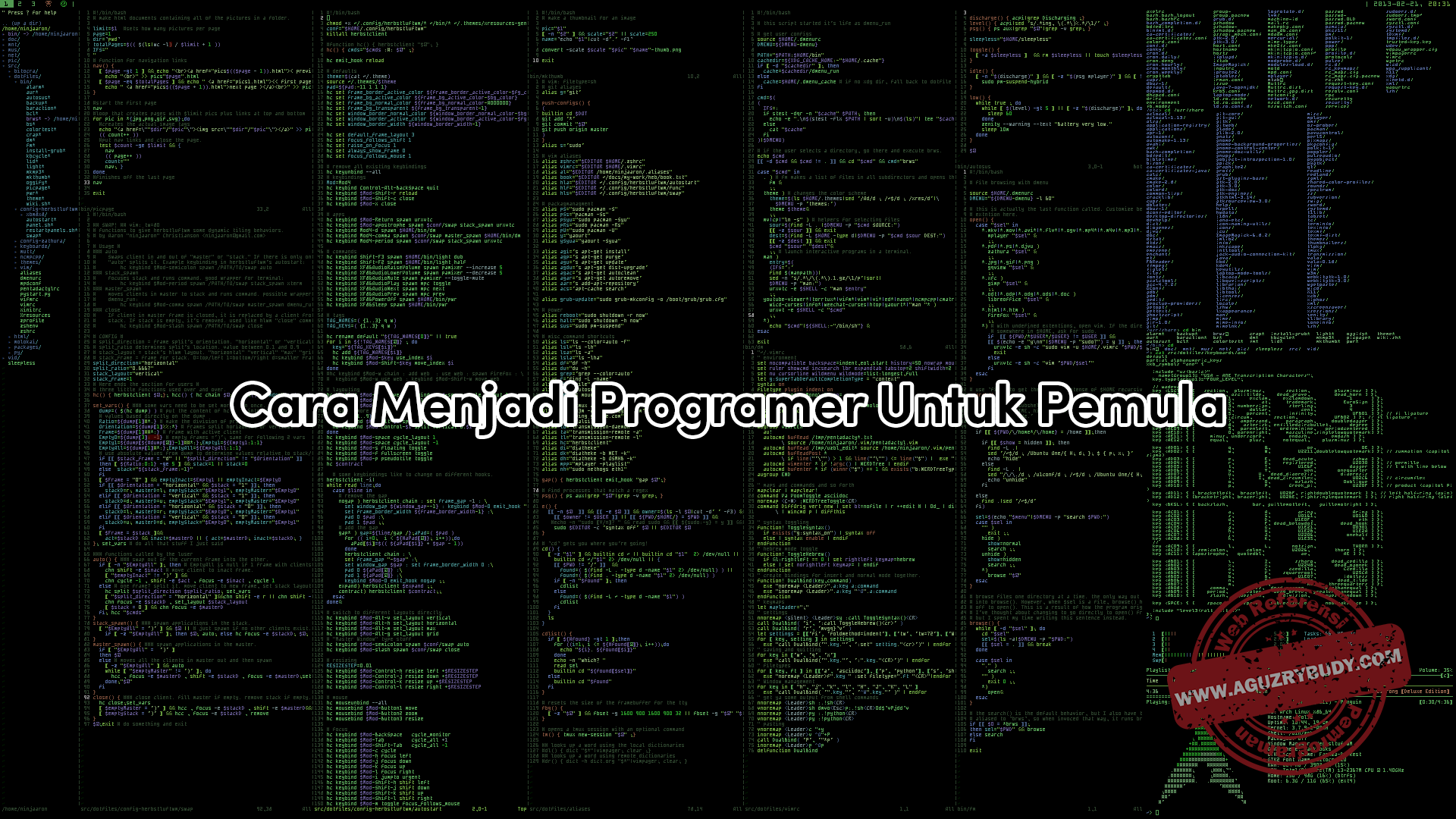 Cara Menjadi Programer Untuk Pemula